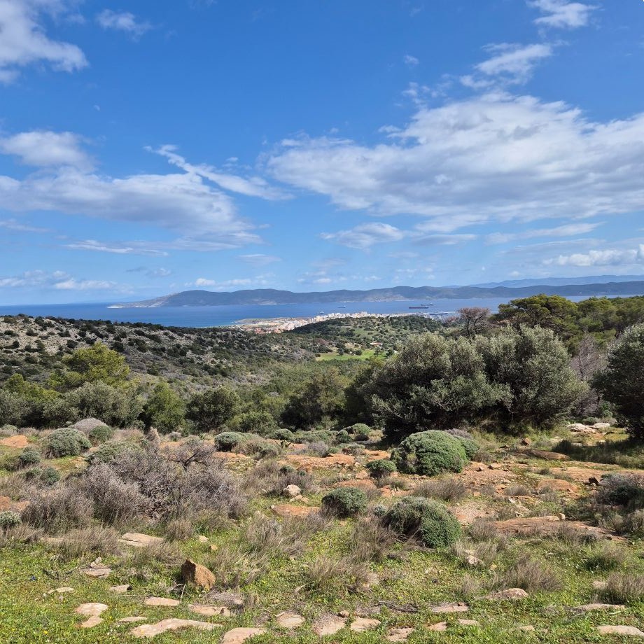 sounio-2-hiking-5